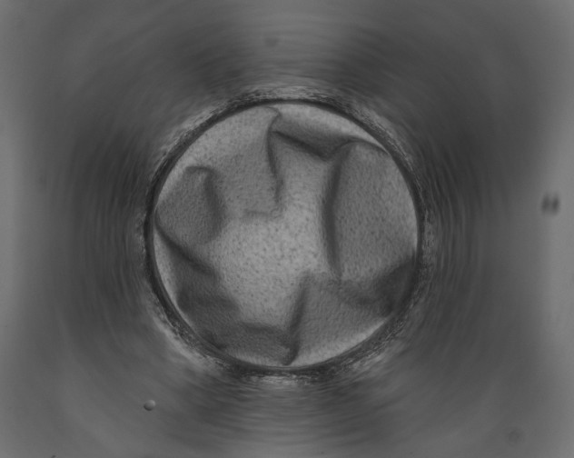 X0000088880394200707061415