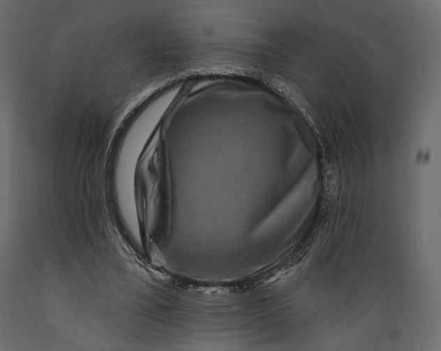 X0000088880395200707061415