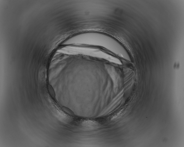 X0000088880397200707061415