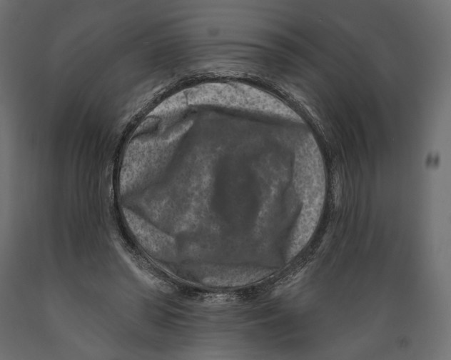 X0000088880398200707061415