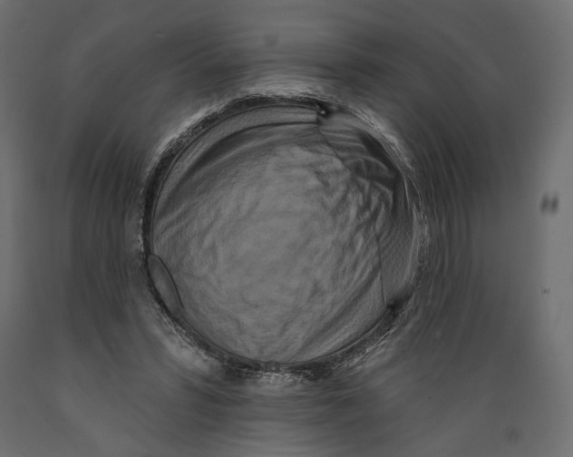 X0000088880399200707061415