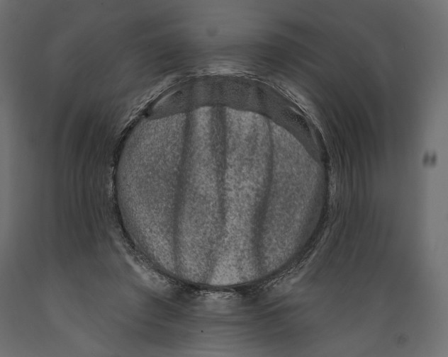 X0000088880401200707061414