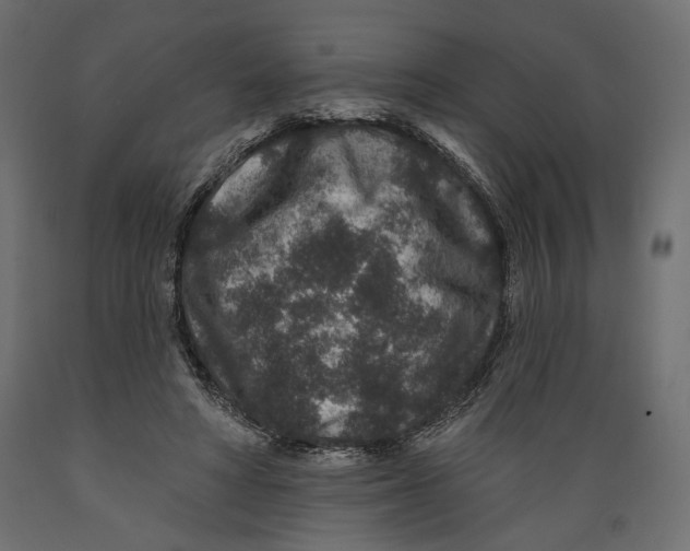 X0000088880402200707061414