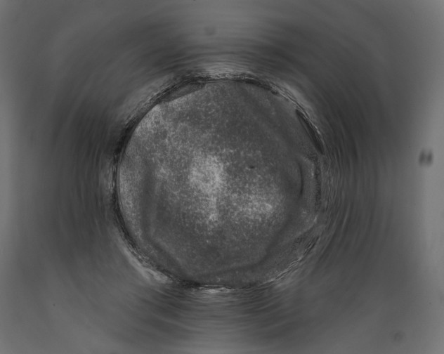 X0000088880405200707061414
