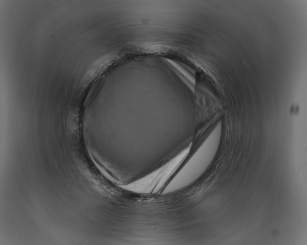 X0000088880407200707061414