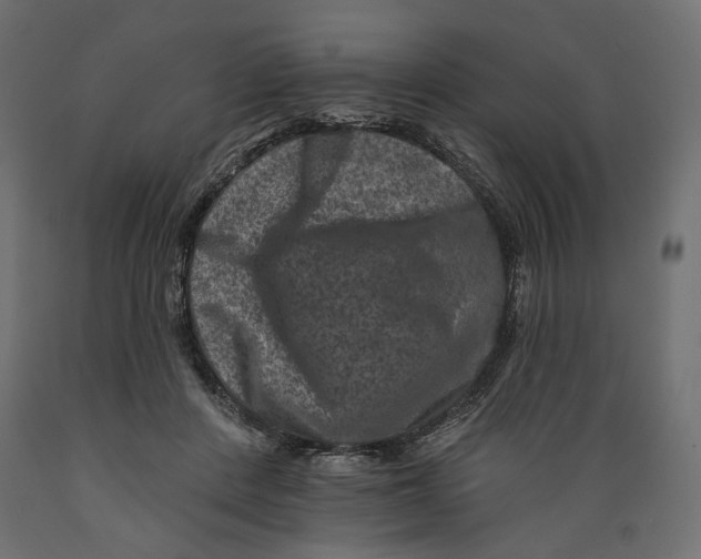X0000088880408200707061414