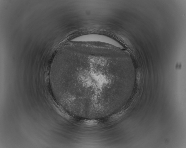 X0000088880409200707061414