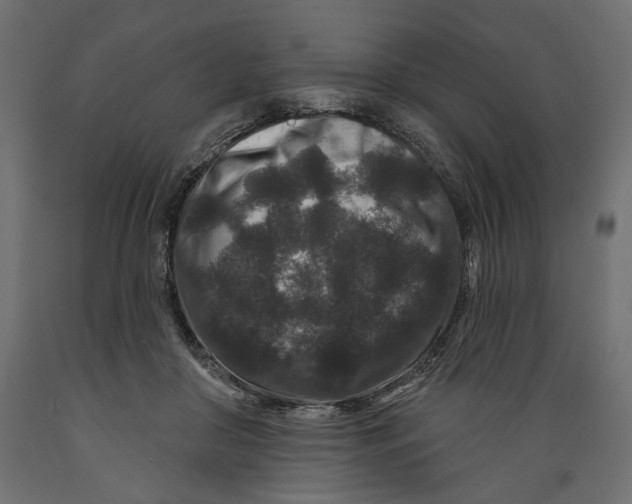 X0000088880410200707061414