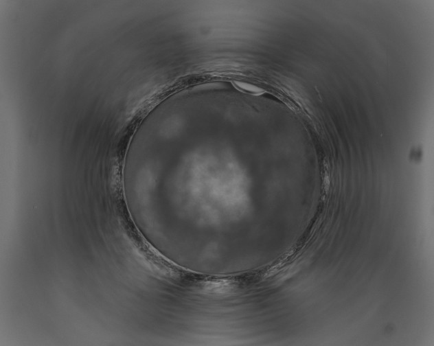 X0000088880411200707061414