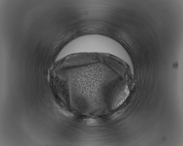 X0000088880412200707061414