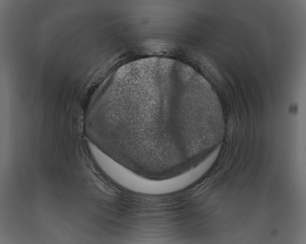 X0000088880413200707061414