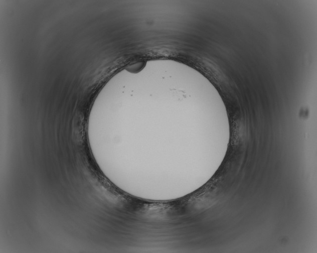 X0000088880414200707061414