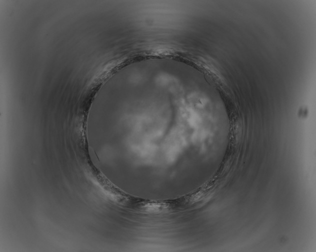 X0000088880415200707061414