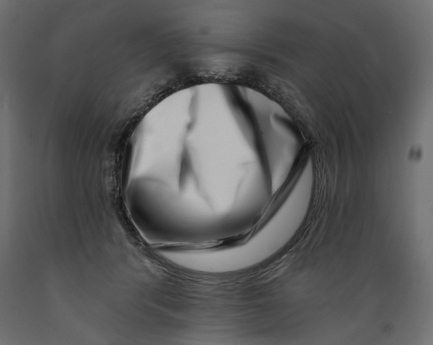 X0000088880416200707061414