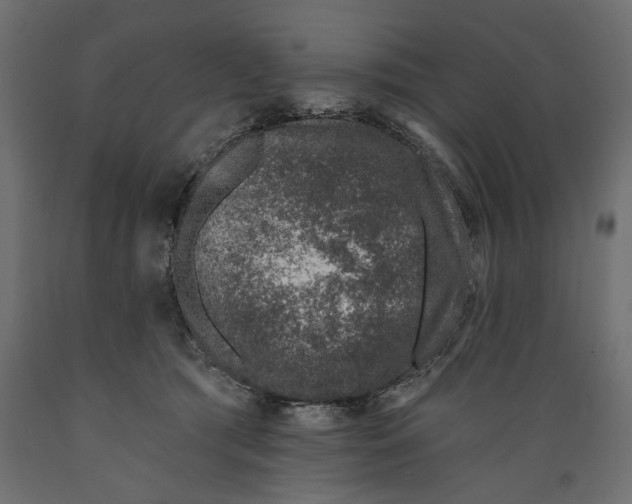 X0000088880417200707061414