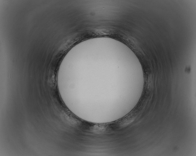 X0000088880418200707061414