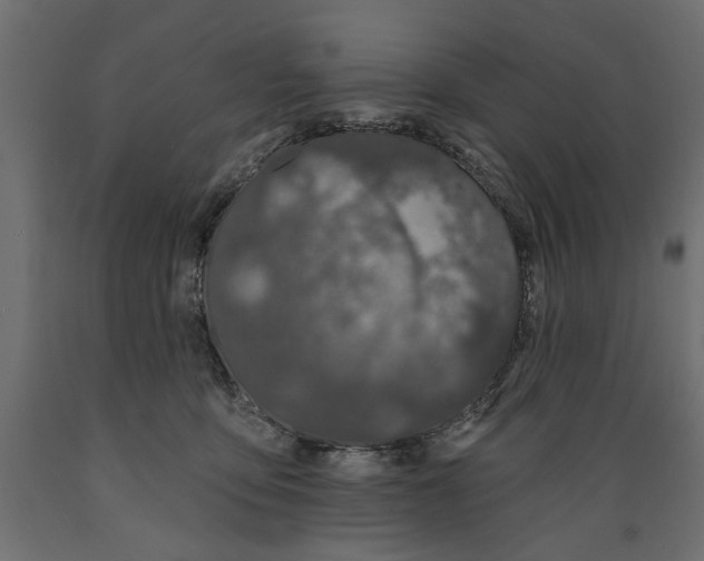 X0000088880419200707061414