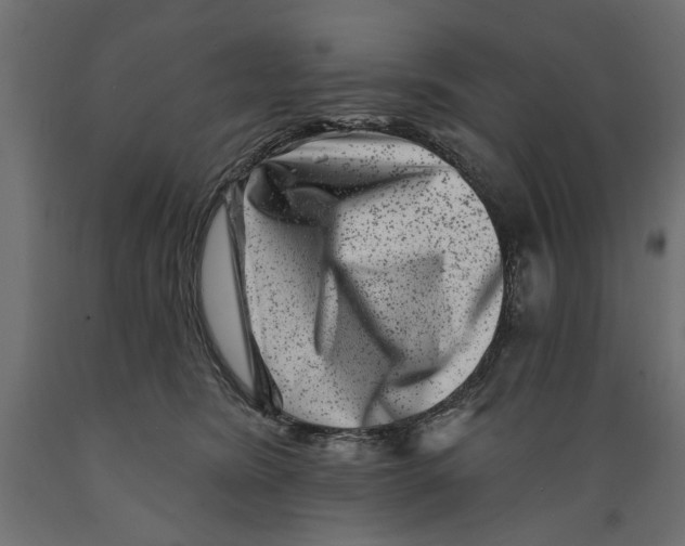 X0000088880420200707061414