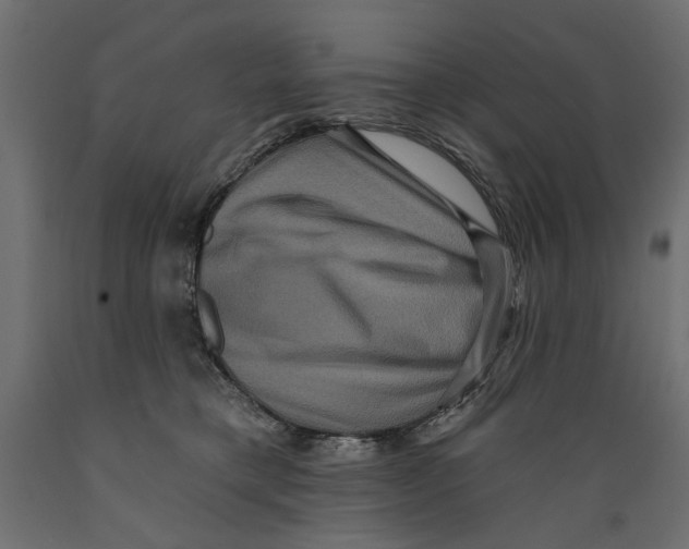 X0000088880421200707061414