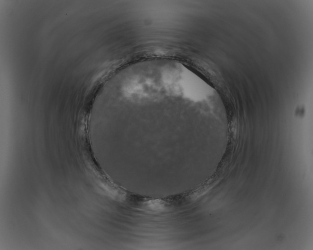 X0000088880423200707061414