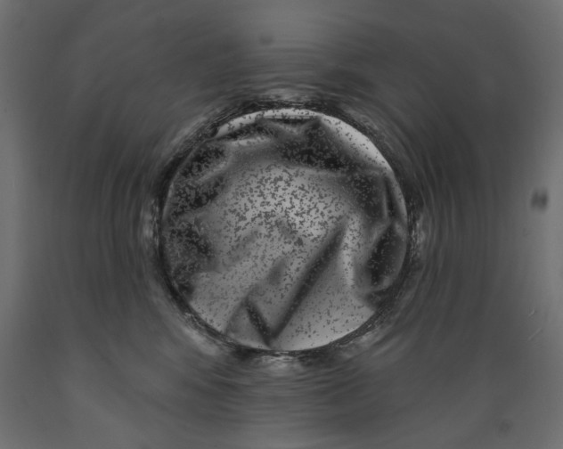 X0000088880424200707061414