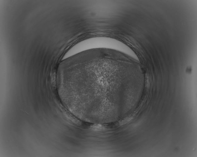 X0000088880425200707061414