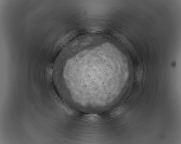 X0000088880427200707061414
