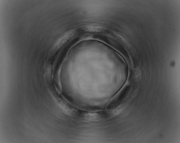 X0000088880428200707061414