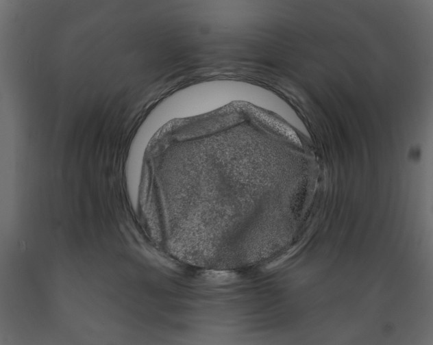 X0000088880429200707061414