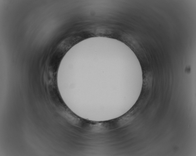 X0000088880430200707061414