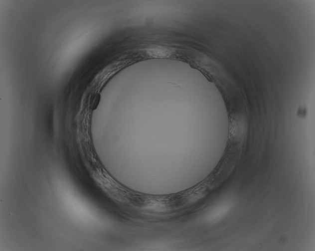 X0000088880431200707061414