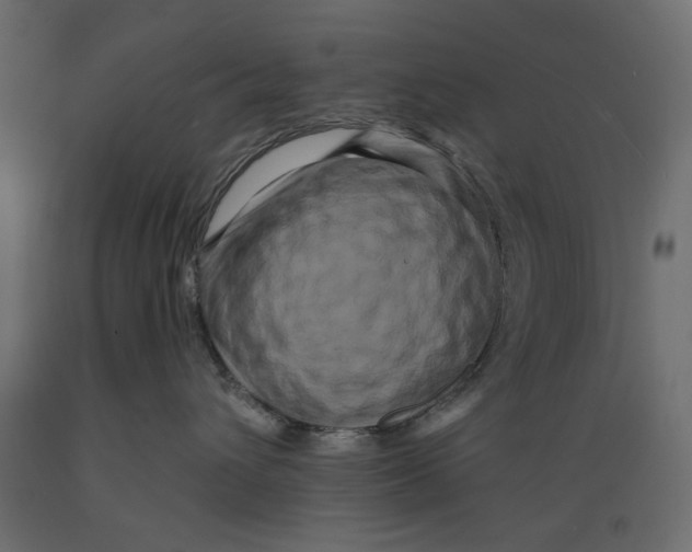 X0000088880432200707061414