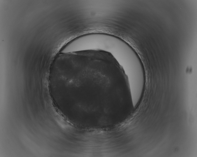 X0000088880434200707061413