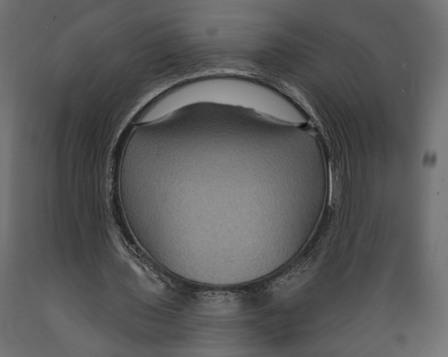 X0000088880435200707061413