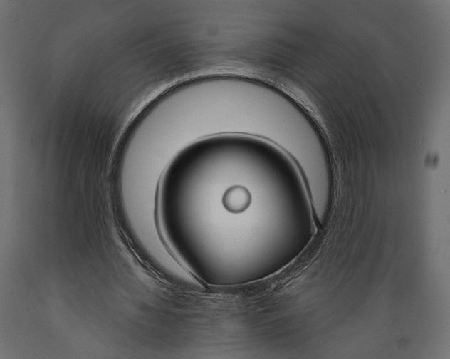 X0000088880436200707061413