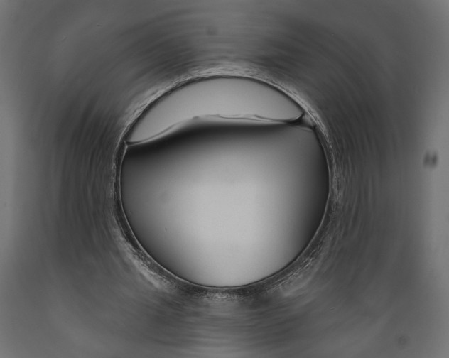 X0000088880437200707061413