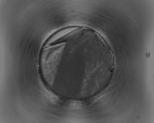 X0000088880438200707061413