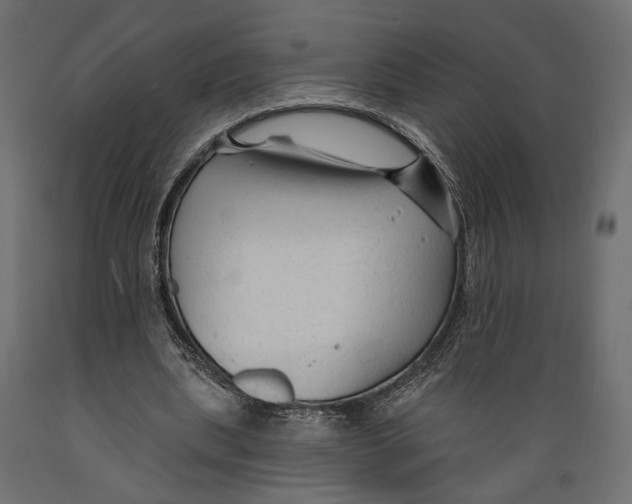 X0000088880439200707061413
