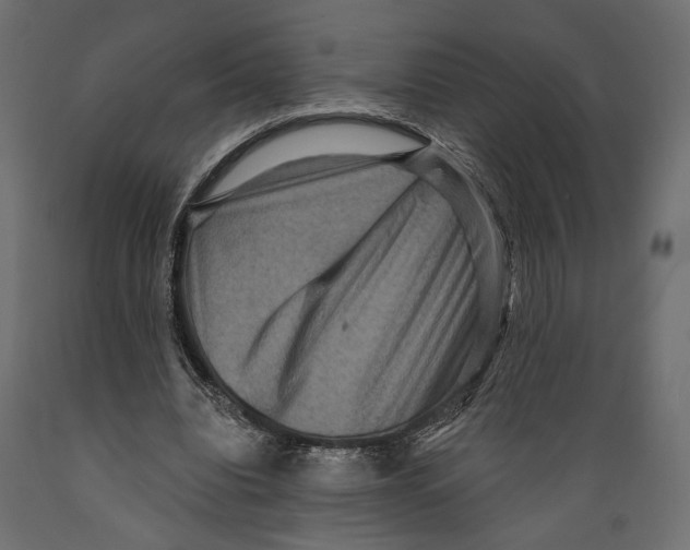 X0000088880440200707061413