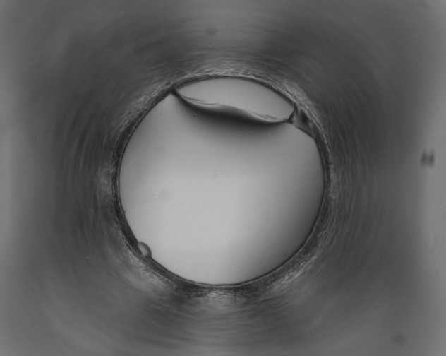 X0000088880441200707061414