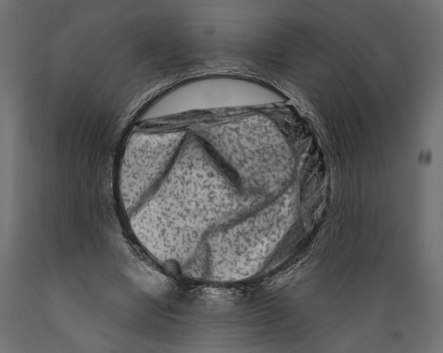 X0000088880442200707061414