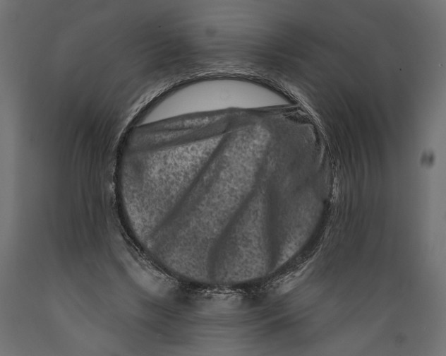 X0000088880443200707061414