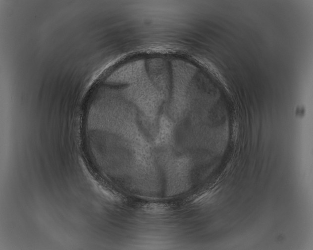 X0000088880444200707061414