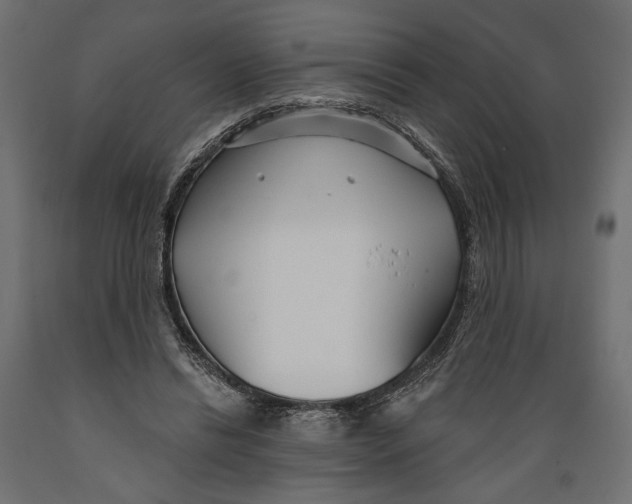 X0000088880446200707061414