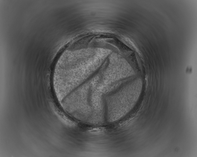 X0000088880447200707061414