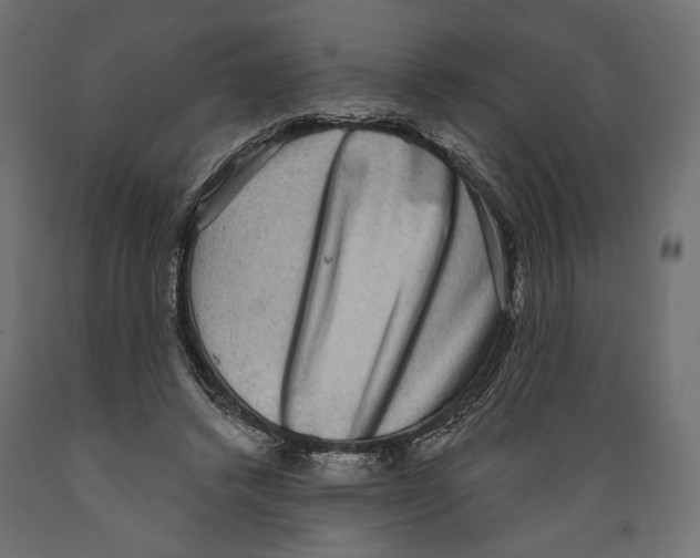 X0000088880448200707061414