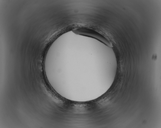 X0000088880450200707061414