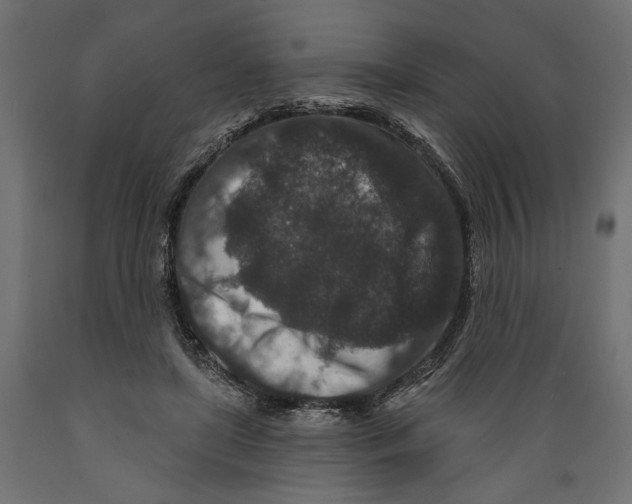 X0000088880451200707061414