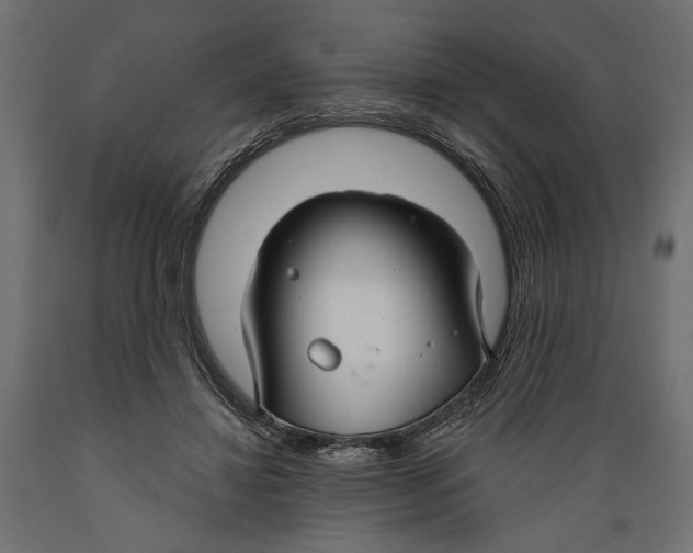 X0000088880452200707061414