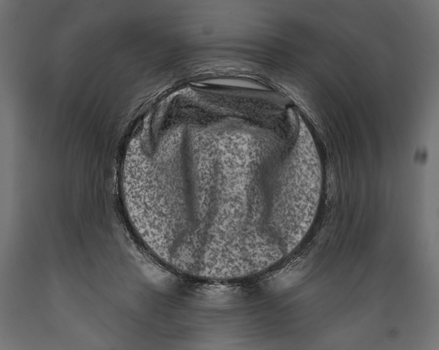 X0000088880453200707061414